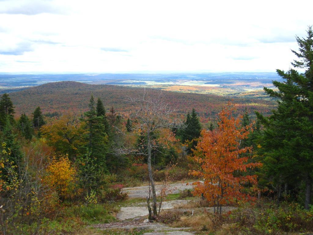 Le Gite Ambrelane Тетфорд Майнз Екстер'єр фото